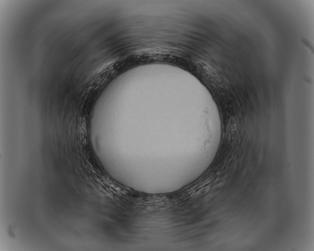 X0000097851062200804041501