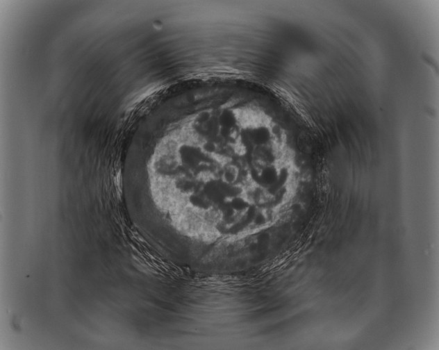 X0000097851063200804041501