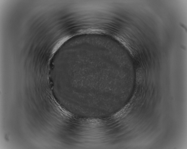 X0000097851066200804041501