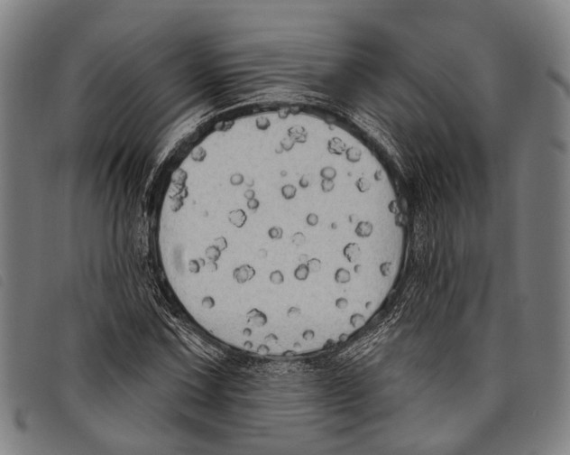 X0000097851067200804041501