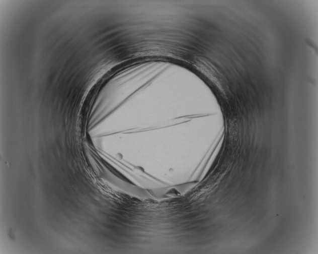 X0000097851068200804041501