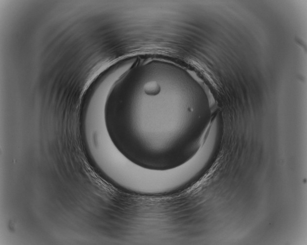 X0000097851069200804041501