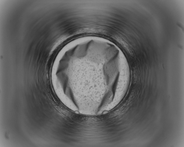 X0000097851070200804041501