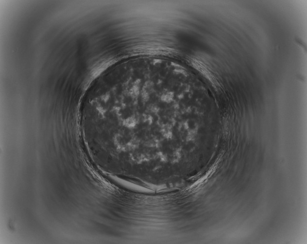 X0000097851071200804041501