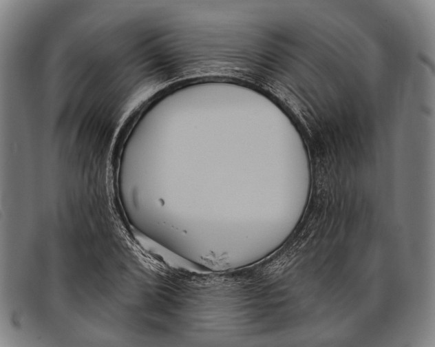 X0000097851072200804041501