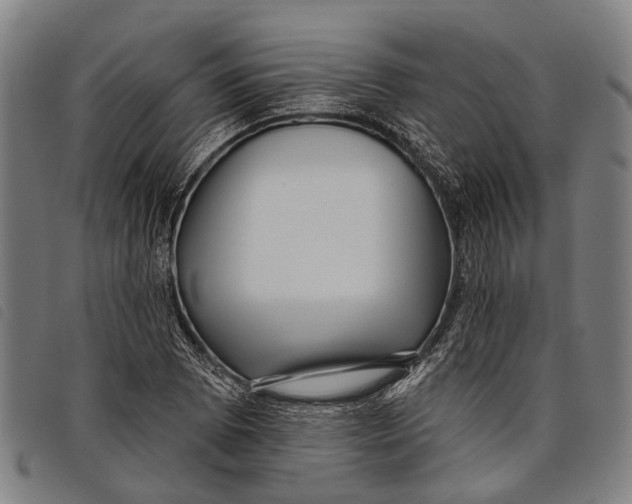 X0000097851073200804041501