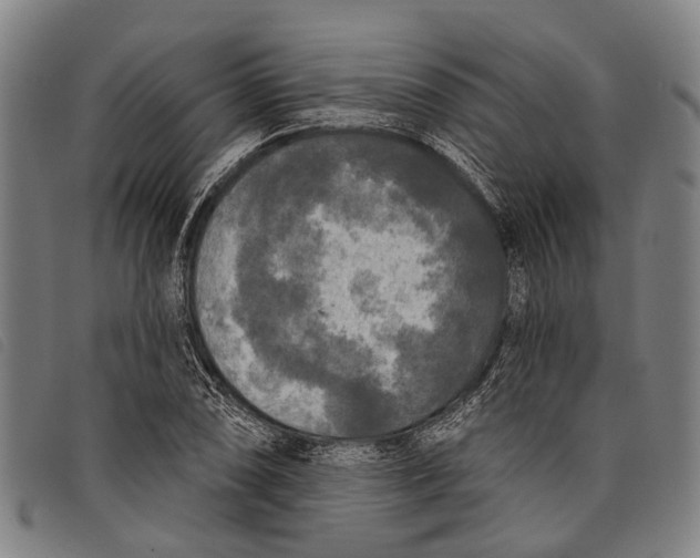 X0000097851074200804041501