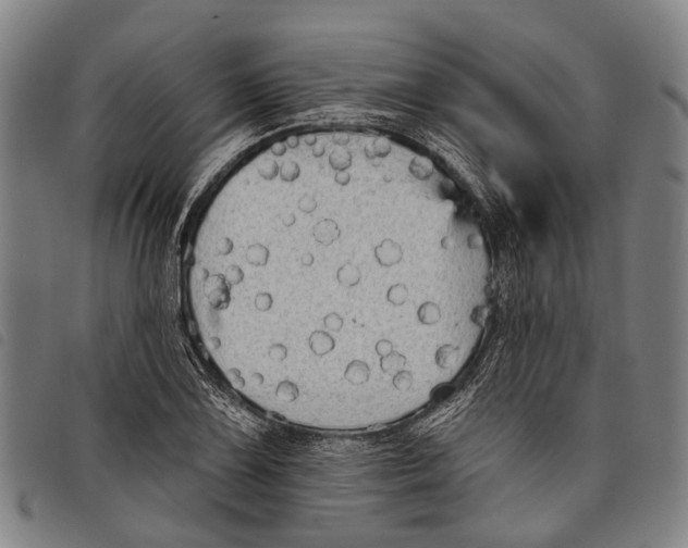 X0000097851075200804041501