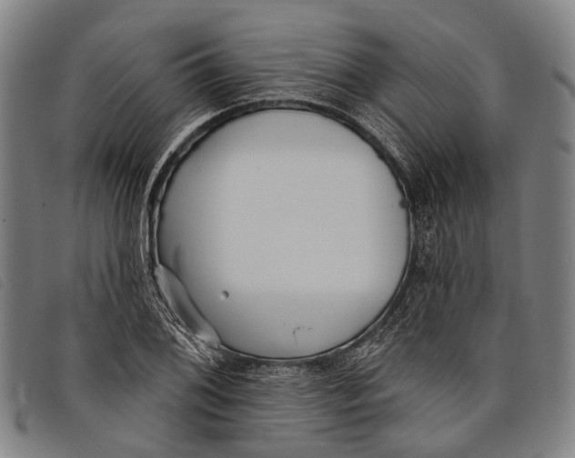 X0000097851076200804041501