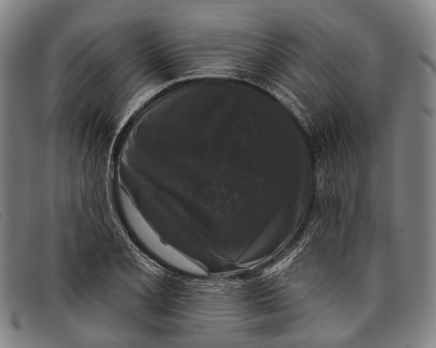 X0000097851077200804041501