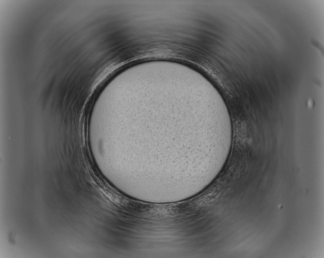 X0000097851078200804041501