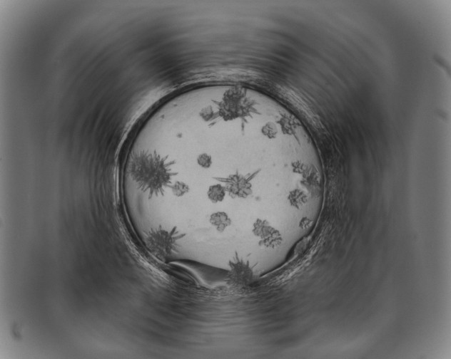 X0000097851079200804041501