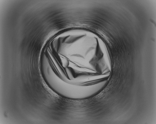 X0000097851080200804041501