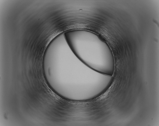 X0000097851081200804041501