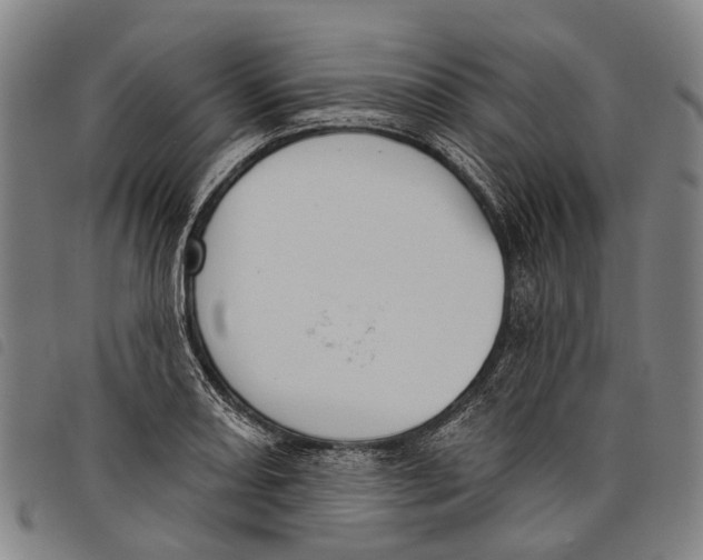 X0000097851082200804041501