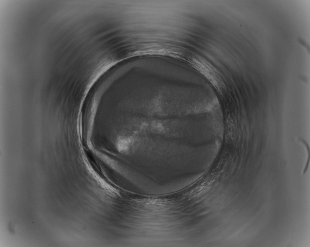 X0000097851084200804041501