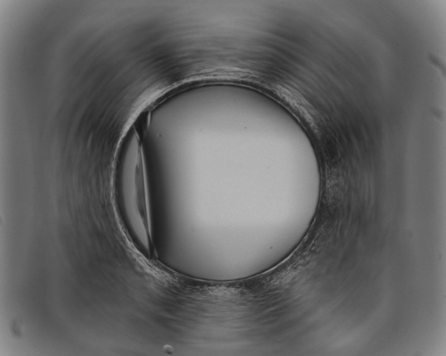 X0000097851085200804041501