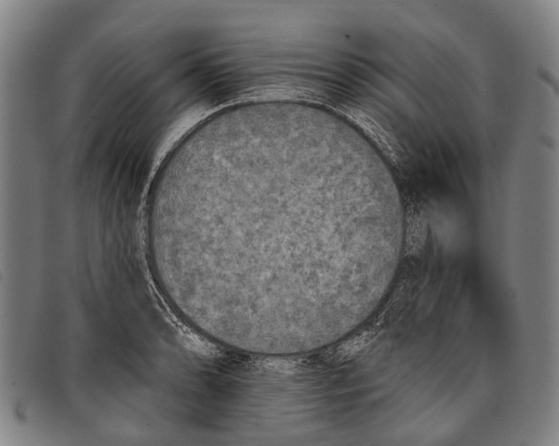 X0000097851086200804041501