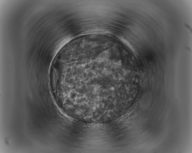 X0000097851087200804041501