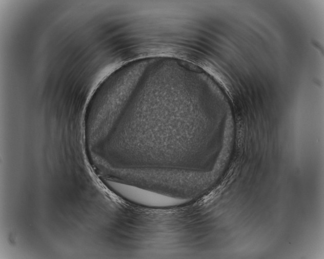 X0000097851088200804041501