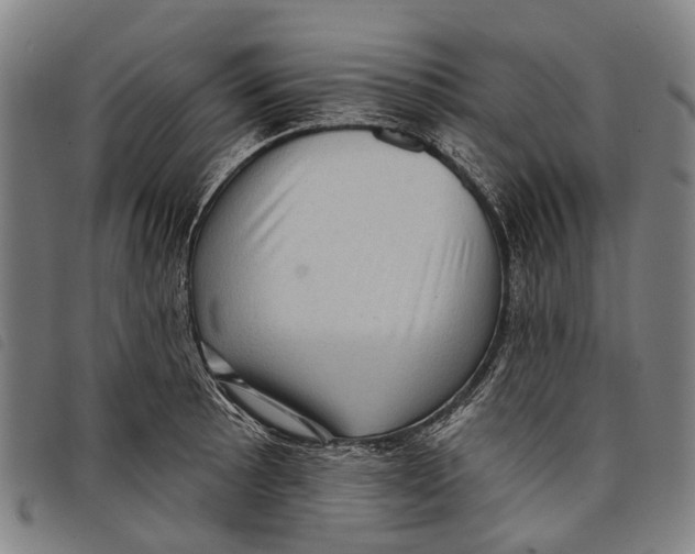 X0000097851089200804041500