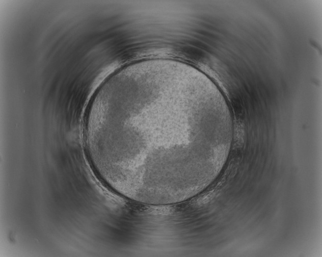 X0000097851090200804041500