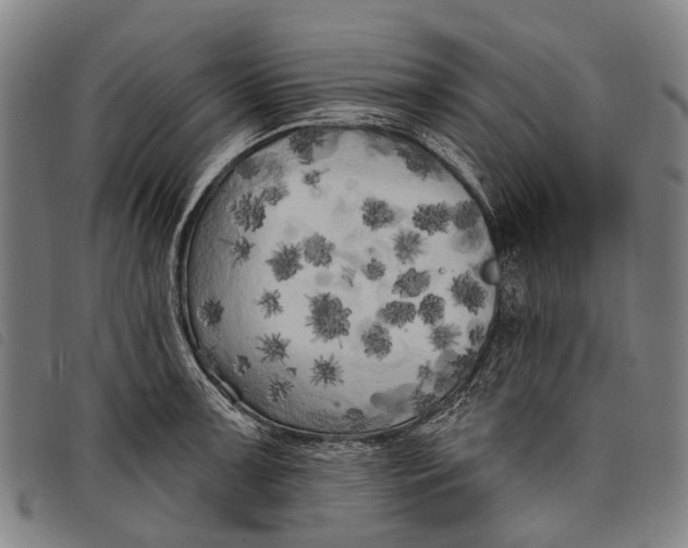 X0000097851091200804041500