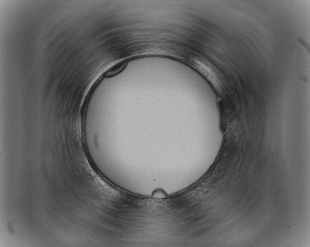 X0000097851092200804041500