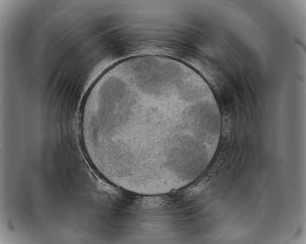 X0000097851094200804041500