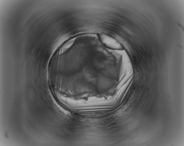 X0000097851095200804041500