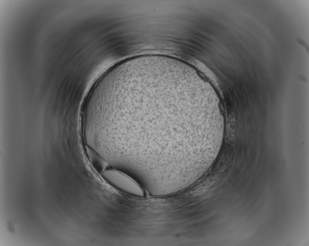 X0000097851096200804041500