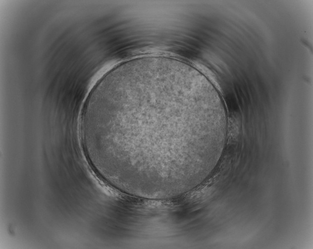 X0000097851098200804041500