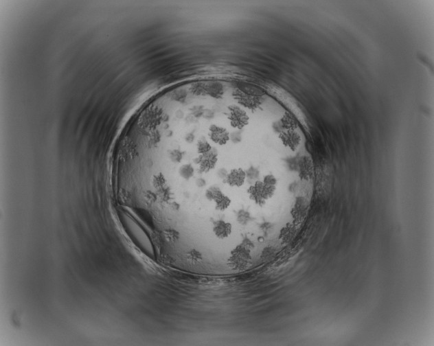 X0000097851099200804041500