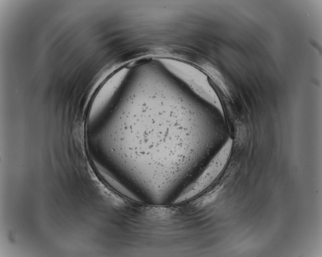 X0000097851100200804041500