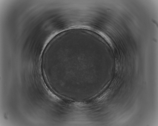 X0000097851102200804041500