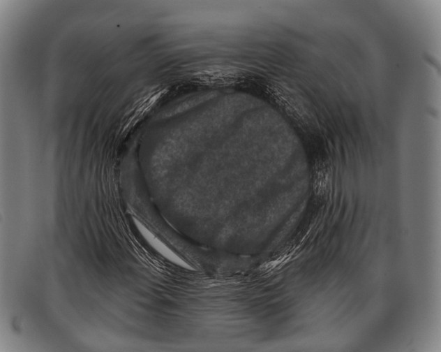 X0000097851108200804041500