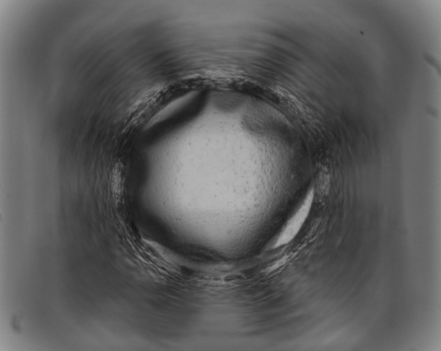 X0000097851110200804041500