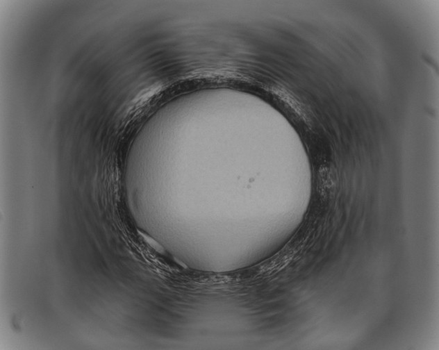 X0000097851111200804041500