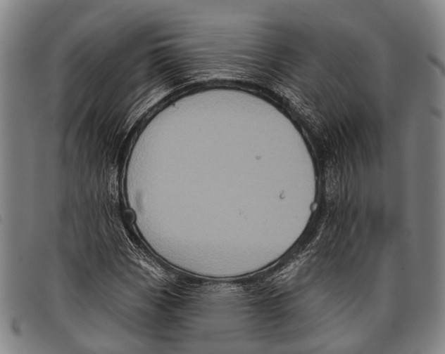 X0000097851113200804041500