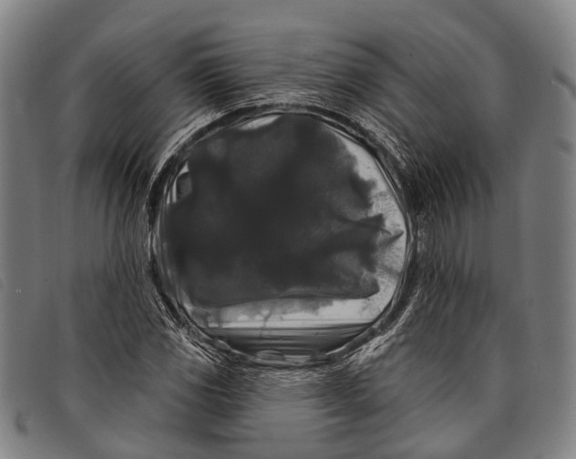 X0000097851117200804041500