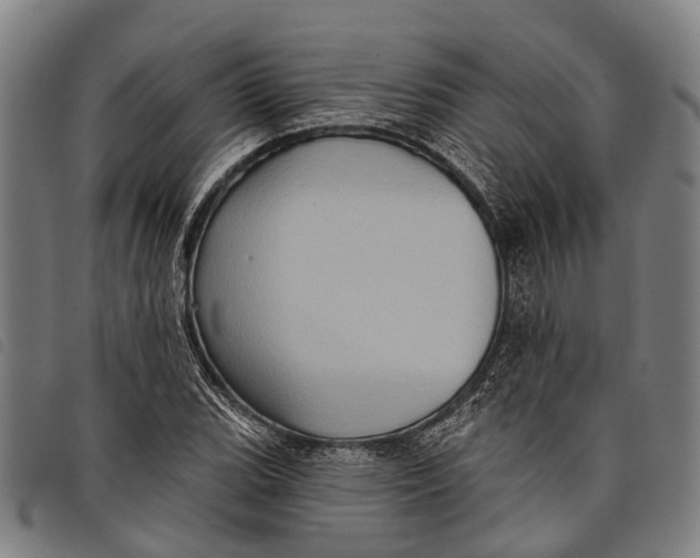 X0000097851119200804041500