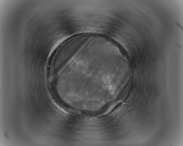 X0000097851120200804041500