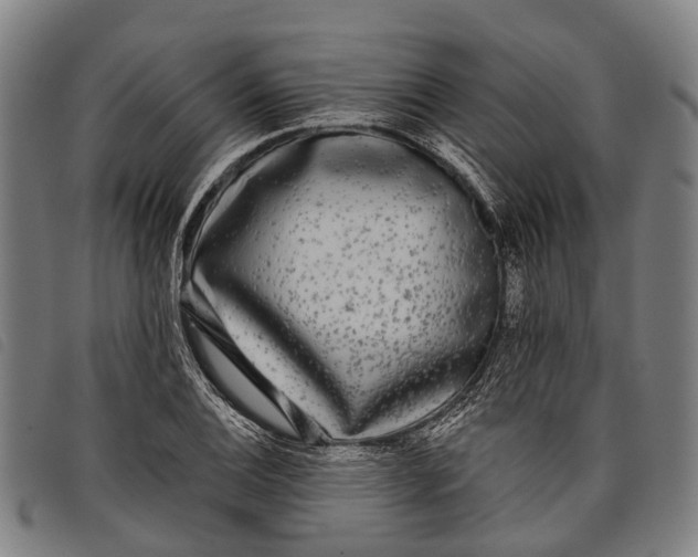 X0000097851124200804041500