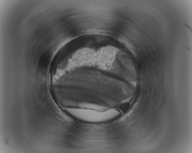 X0000097851125200804041500