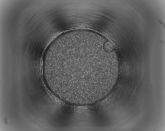 X0000097851126200804041500