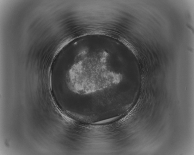 X0000097851127200804041500