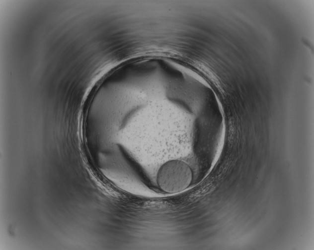 X0000097851128200804041500