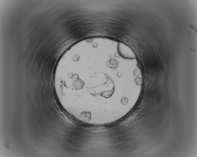 X0000097851129200804041500