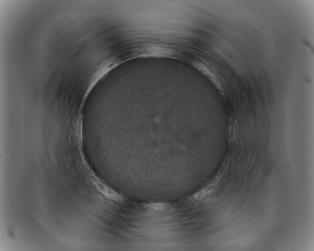 X0000097851130200804041500