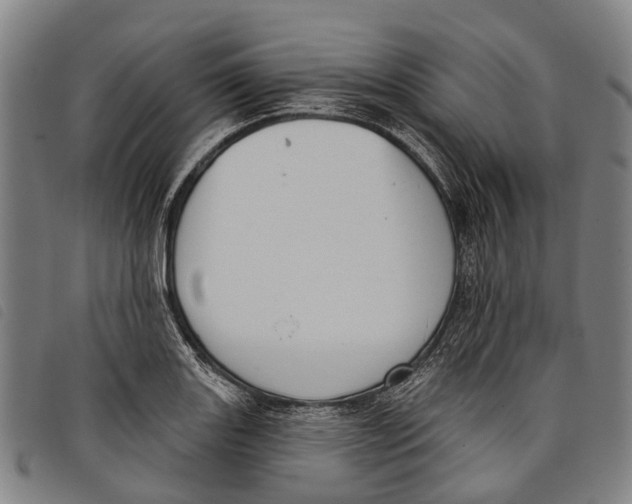 X0000097851131200804041500